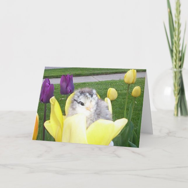 Tarjeta Festiva pollo en un tulipán (Anverso)
