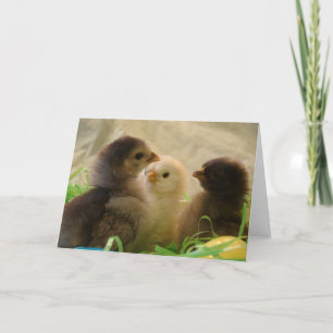 Tarjeta Festiva Pollos de Pascua
