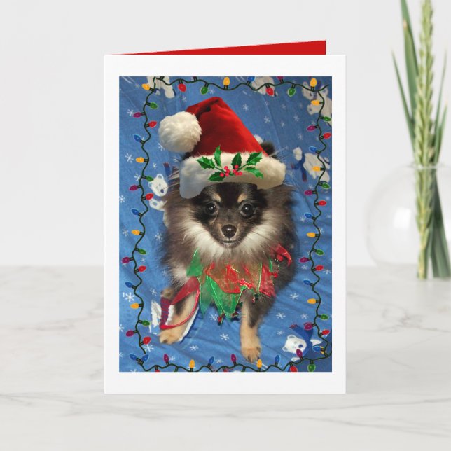 TARJETA FESTIVA POMERANIAN SANTA (Anverso)