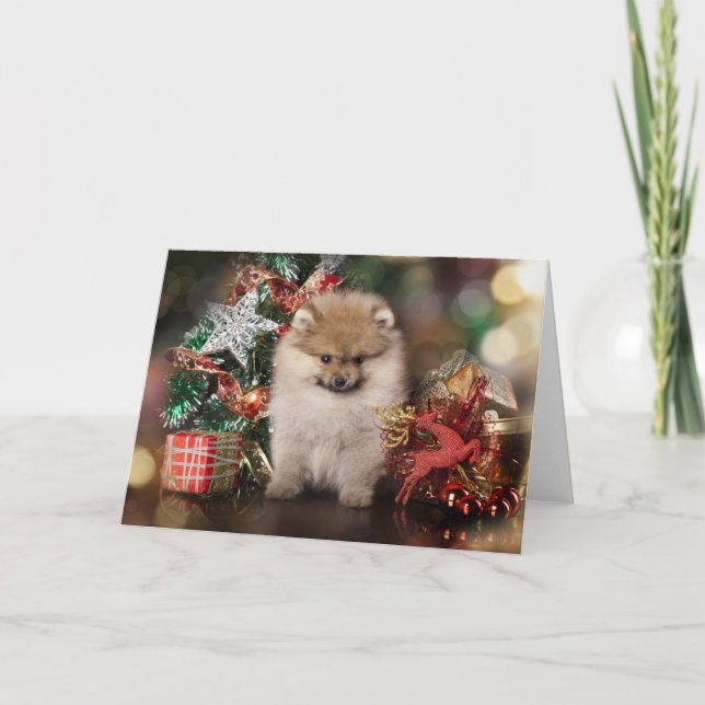 Tarjeta Festiva Pomeranian Spitz, Navidades Cachorro (Anverso)