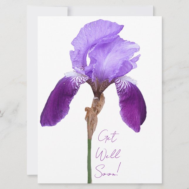 Tarjeta Festiva Ponte bien pronto elegante iris floral (Anverso)