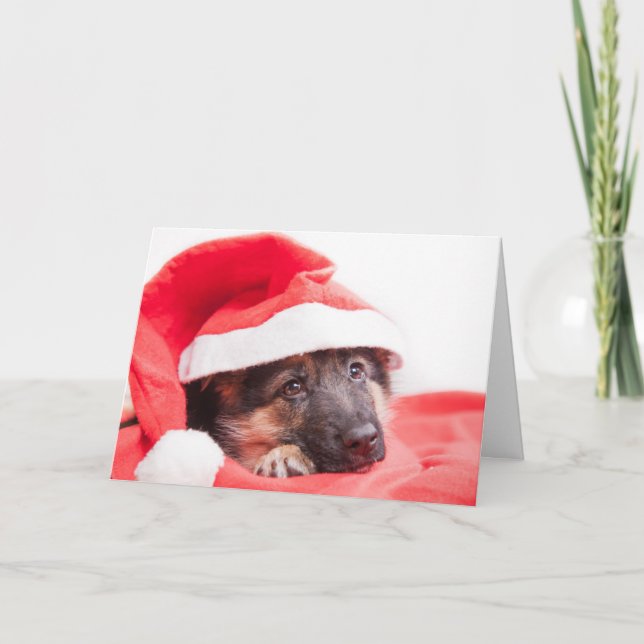 Tarjeta Festiva Popas de pastor alemanas (Anverso)