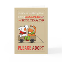 Por favor, adopte parche en un hogar agitado para 