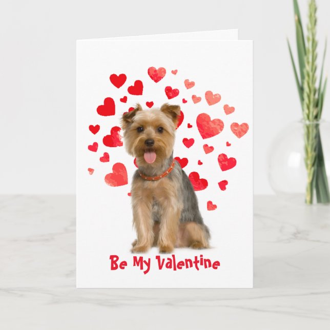 Tarjeta Festiva Porque te quiero a ti, Perro Yorkie Valentine (Anverso)