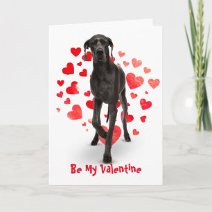 Tarjeta Festiva Porque te quiero, gran perro danés Valentín