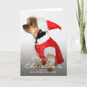 Tarjeta Festiva Portrait of Yorkshire Terrier Wearing Santa Hat