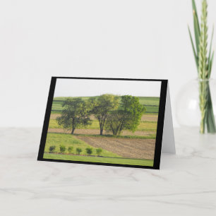 Tarjeta Festiva Primavera 16 ~ '10 ~