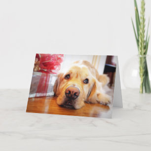 Tarjeta Festiva Primer del perro anhelante del golden retriever