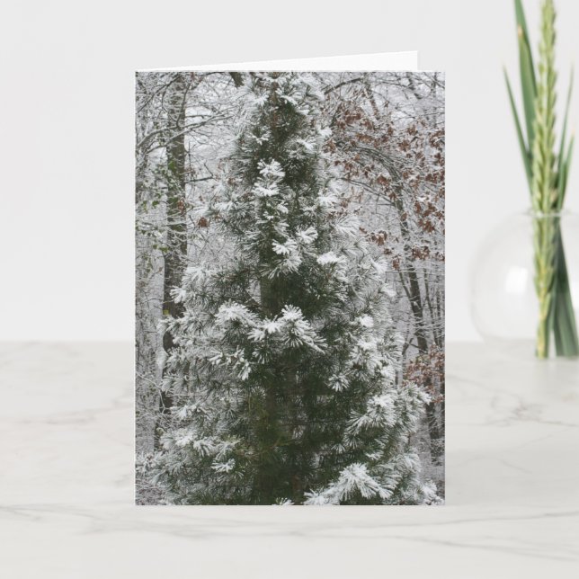 Tarjeta Festiva Primera Nieve (Anverso)