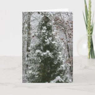 Tarjeta Festiva Primera Nieve
