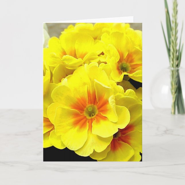 Tarjeta Festiva Primula amarilla en primavera (Anverso)