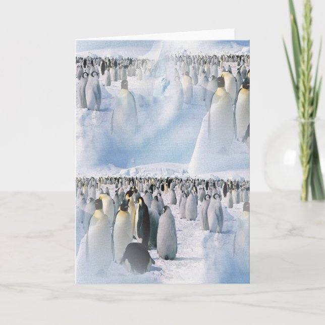 Tarjeta Festiva Productos del pingüino (Anverso)