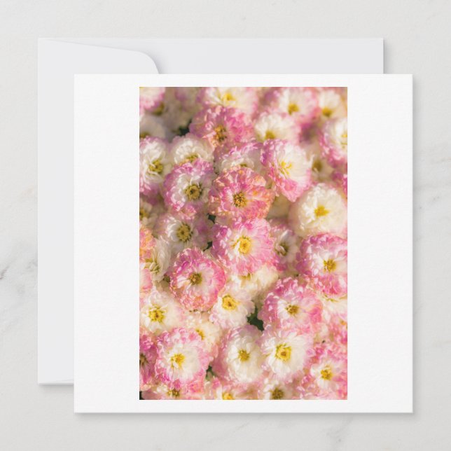 Tarjeta Festiva prueba (Anverso)