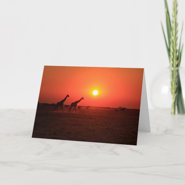 Tarjeta Festiva Puesta del sol en la cacerola de Nxai (Anverso)