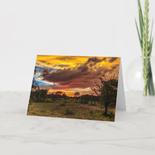Tarjeta Festiva Puesta del sol salvaje, Suráfrica