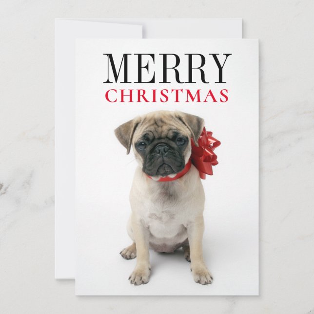 Tarjeta Festiva Pug cachorro con Navidades ceñido (Anverso)