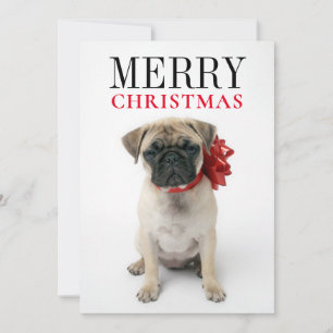 Tarjeta Festiva Pug cachorro con Navidades ceñido