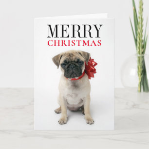 Tarjeta Festiva Pug cachorro con Navidades ceñido