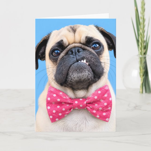 Tarjeta Festiva Pug con lazo rosa (Anverso)