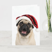 Pug Feliz con Sombrero Rojo Brillante de Santa Nav