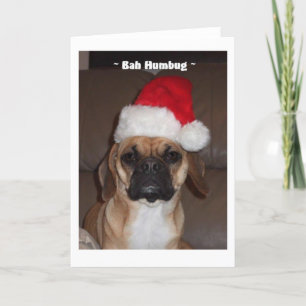 Tarjeta Festiva Puggle! Christmas Card