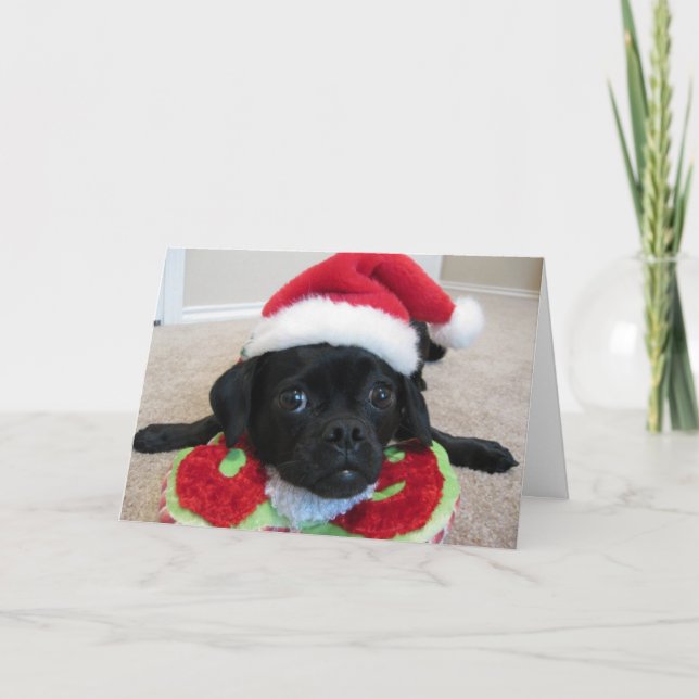 Tarjeta Festiva Puggle! Christmas Card (Anverso)