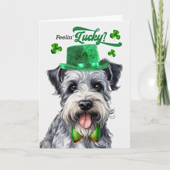 Tarjeta Festiva Pumi Dog Lucky St Patrick's Day (Anverso)