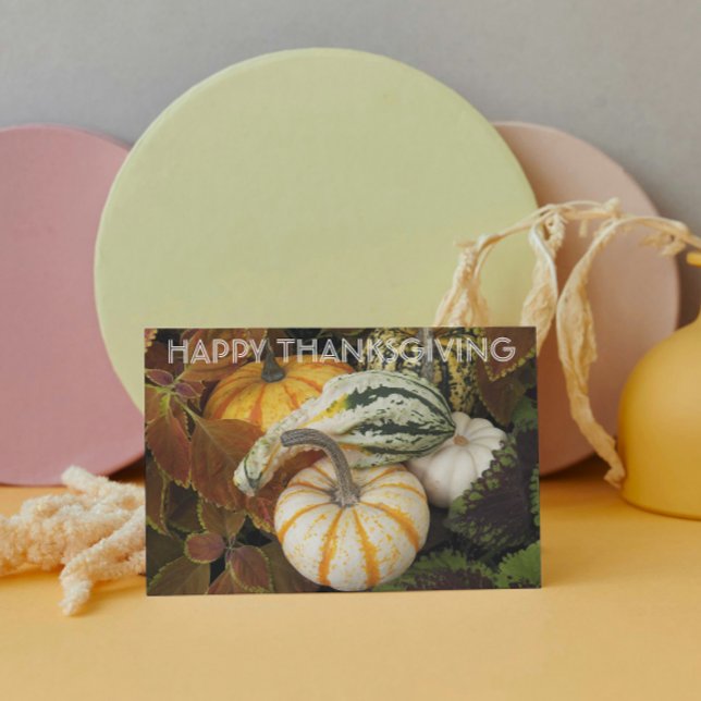 Tarjeta Festiva Pumpkins and Squash Still Life Photo Thanksgiving (In Situ)