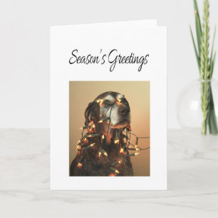 Tarjeta Festiva Puntero coronario de Season's Greetings