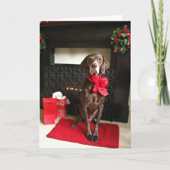 Tarjeta Festiva puntero de navidades (Anverso)