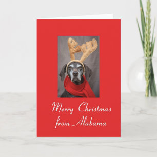 Tarjeta Festiva Puntero de reno de Alabama alegry x-mas
