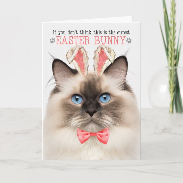 Tarjeta Festiva Punto de foco Ragdoll Cutest Easter Bunny Kitty Pu (Anverso)