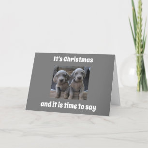 TARJETA FESTIVA PUPPIES ENVÍAN LOS DESEOS DE DOBLES NAVIDADES