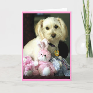 Tarjeta Festiva Puppy Bunny Easter Card