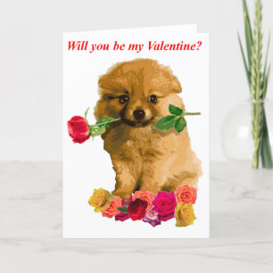 Tarjeta Festiva Puppy Pomerania Sean Mis Rosas De San Valentín