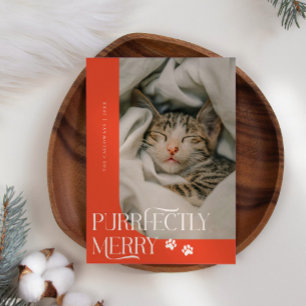 Tarjeta Festiva Puramente Merry Cat Photo Red Navidades