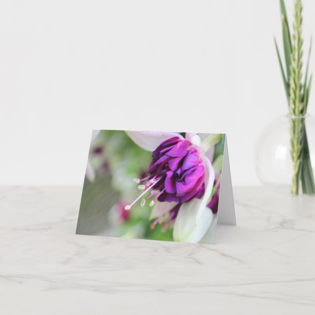 Tarjeta Festiva Purple Hards Fuchsia (Anverso)