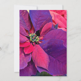 Tarjeta Festiva Purple Poinsettias