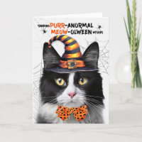 PURRolween anormal de gato negro de color blanco