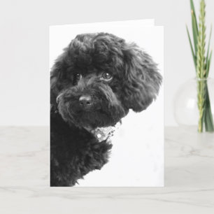 Tarjeta Festiva ¿Qué?