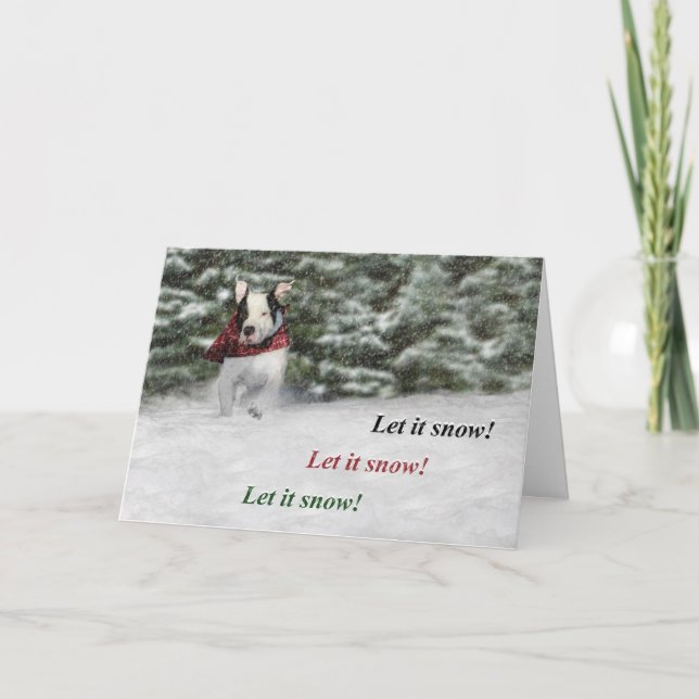 Tarjeta Festiva Que nieve (Anverso)