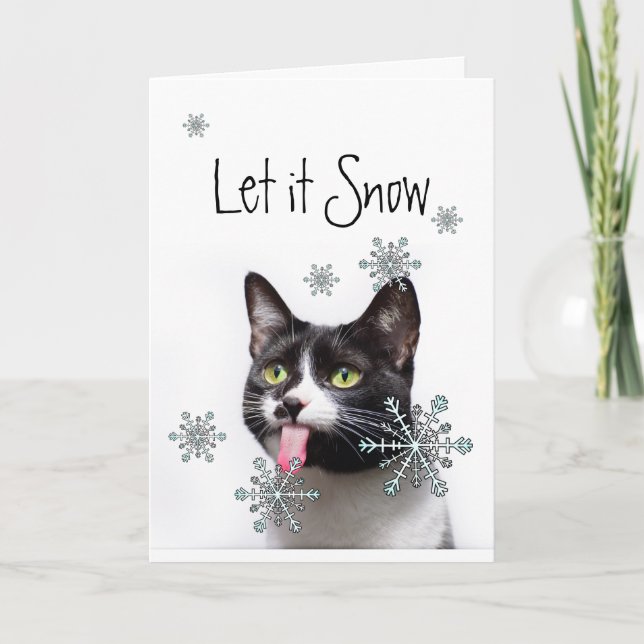 Tarjeta Festiva Que nieve, invierno y nieve, gato de Navidades div (Anverso)