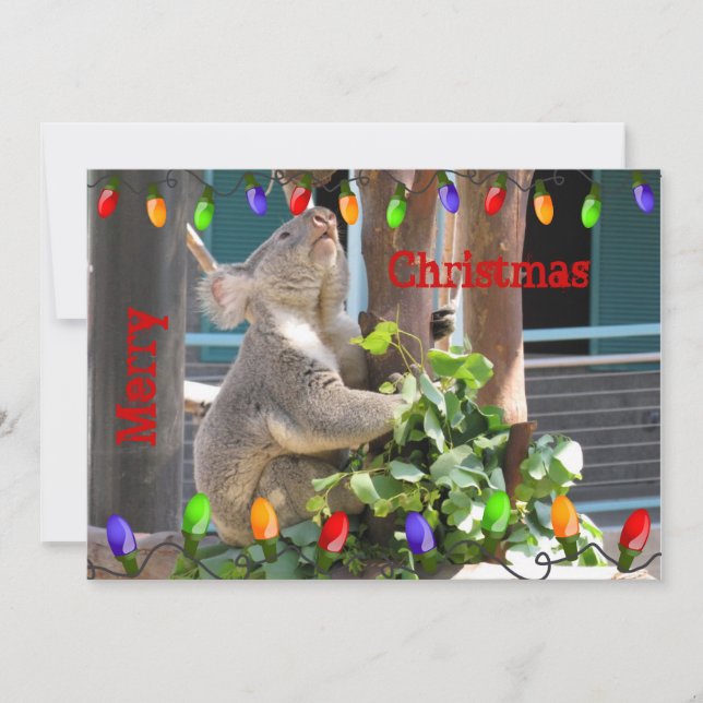 Tarjeta Festiva Que Sus Luces Brillen. Navidades de Koala (Anverso)