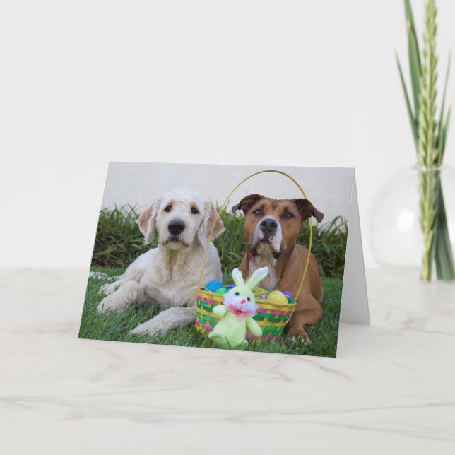 Tarjeta Festiva Que tu Pascua sea una carta de ovoceto (Anverso)