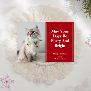 Tarjeta Festiva Que tus días sean peludos y brillantes Gato de Nav