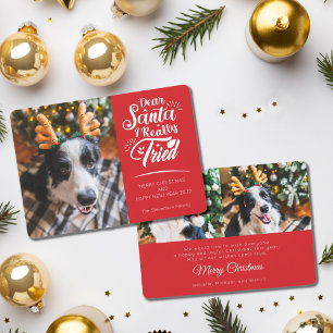 Tarjeta Festiva Querido Papá Noel probé la foto de un perro Navida