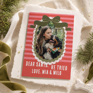 Tarjeta Festiva Querido Santa Él Lo Intentó Foto Divertida de Perr