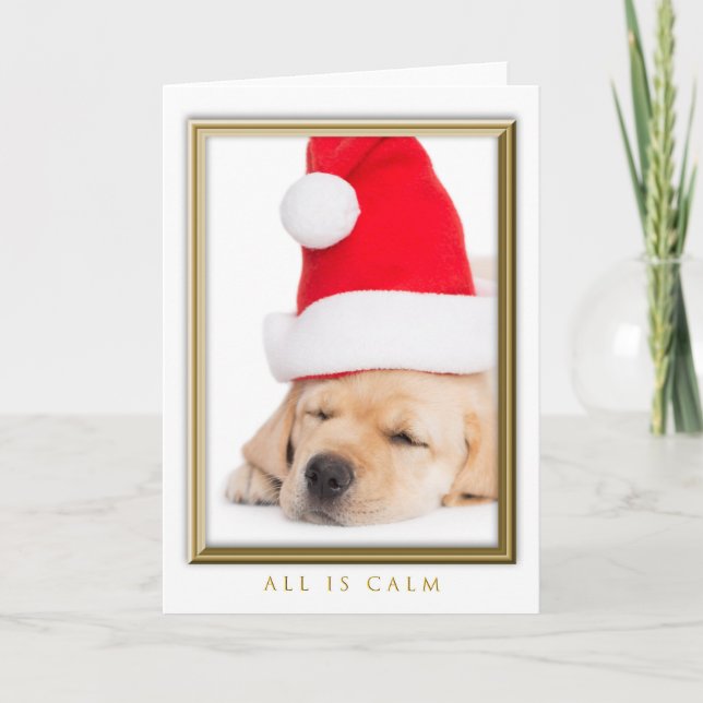 Tarjeta Festiva Querido Santa todo es un cachorro tranquilo (Anverso)