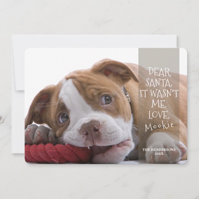 Tarjeta Festiva Queridos Navidades de fotos de perros buenos de Sa (Anverso)
