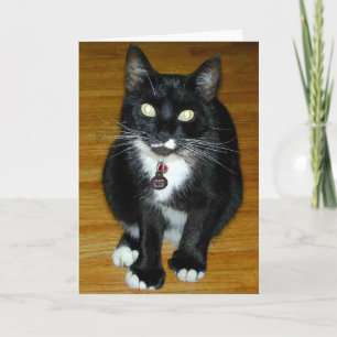 Tarjeta Festiva ¿Quién yo?